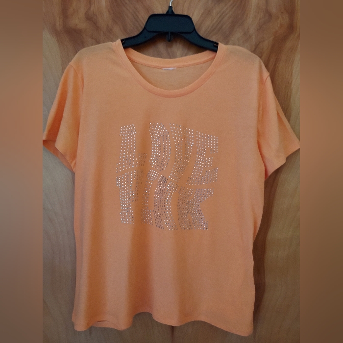 Pink Brand Top